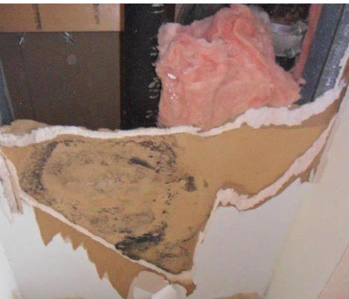 mold damage drywalled ceiling with portions torn away