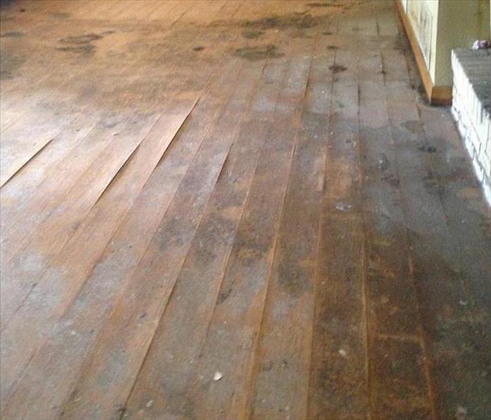 water damaged hardwood floor warping and buckling