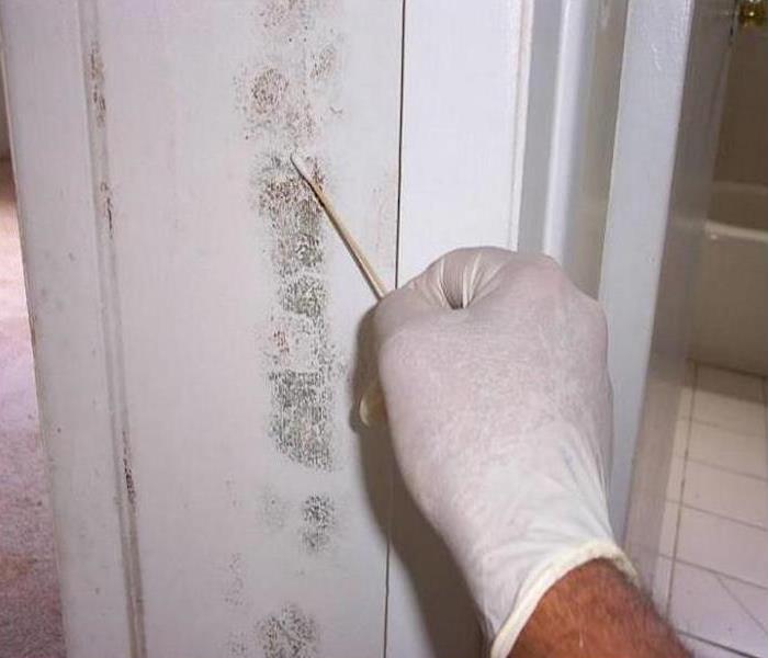 hand holding a stick pointing to mold damage on a white wall