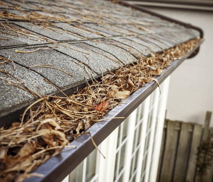 gutters filled with dried leaves