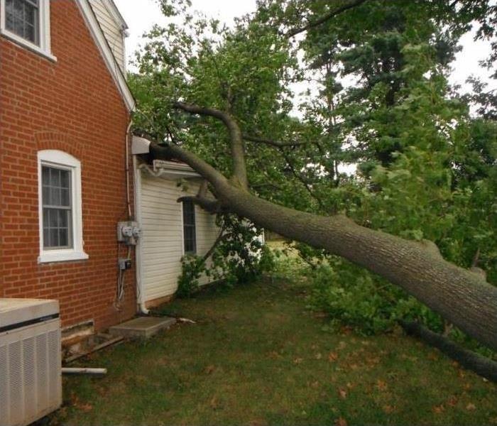 A tree fallen on a home after a storm