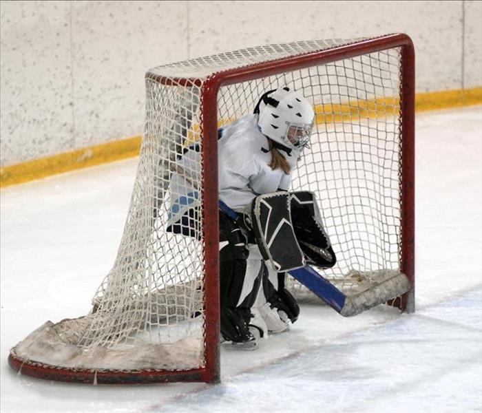 hockey player standing in a goal